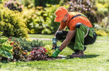 Trabajo para Jardineros y ayudantes de jardinería con o sin experiencia